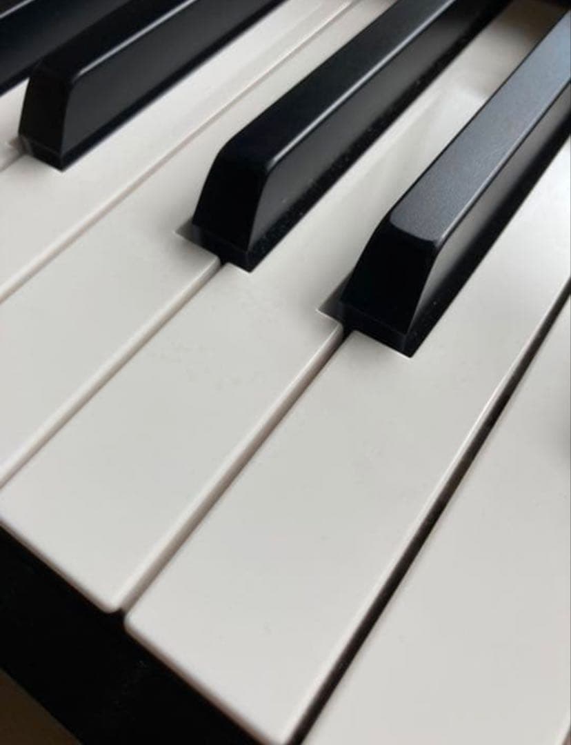 KORG D1 デジタルピアノ