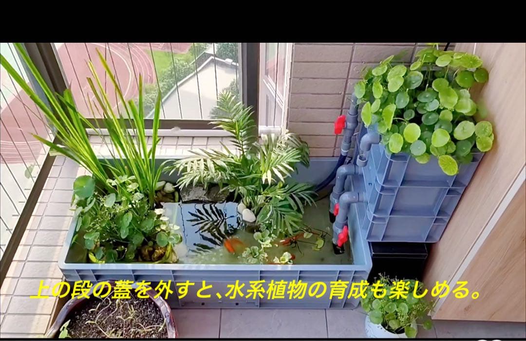 三段式万能濾過器装置　水槽池濾過層濾過飼育 外部フィルター