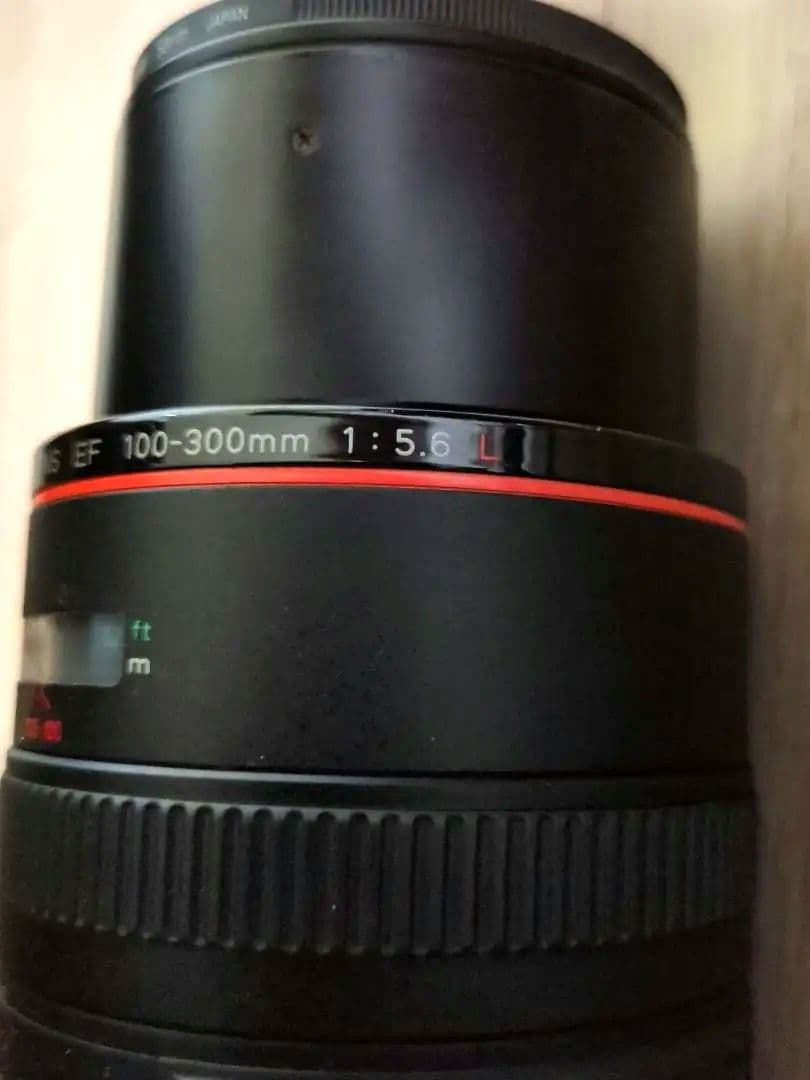 【美品】遠くをキレイに撮れるLレンズCanonEF100-300mm F5.6L