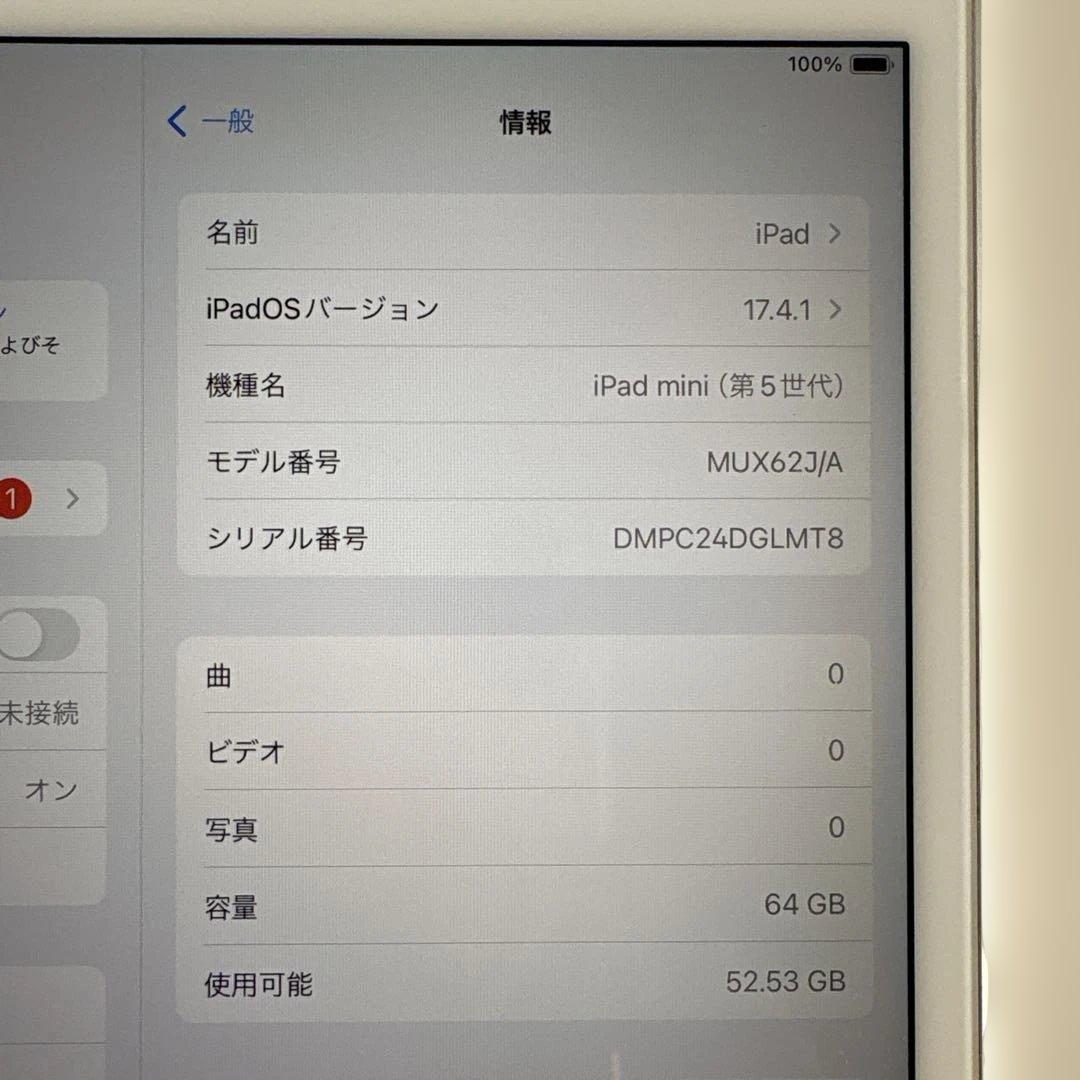 iPad mini5 セルラー 64GB SIMフリー　(74)