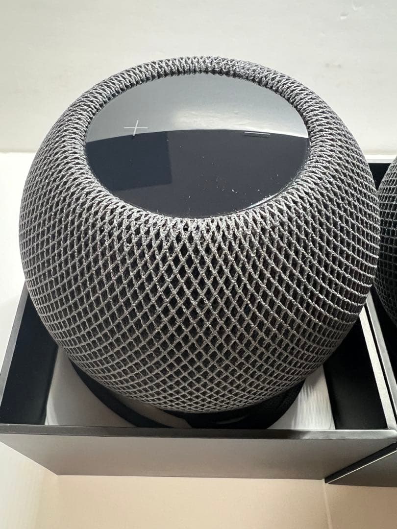 Apple Pod mini スペースグレイ 2台セット