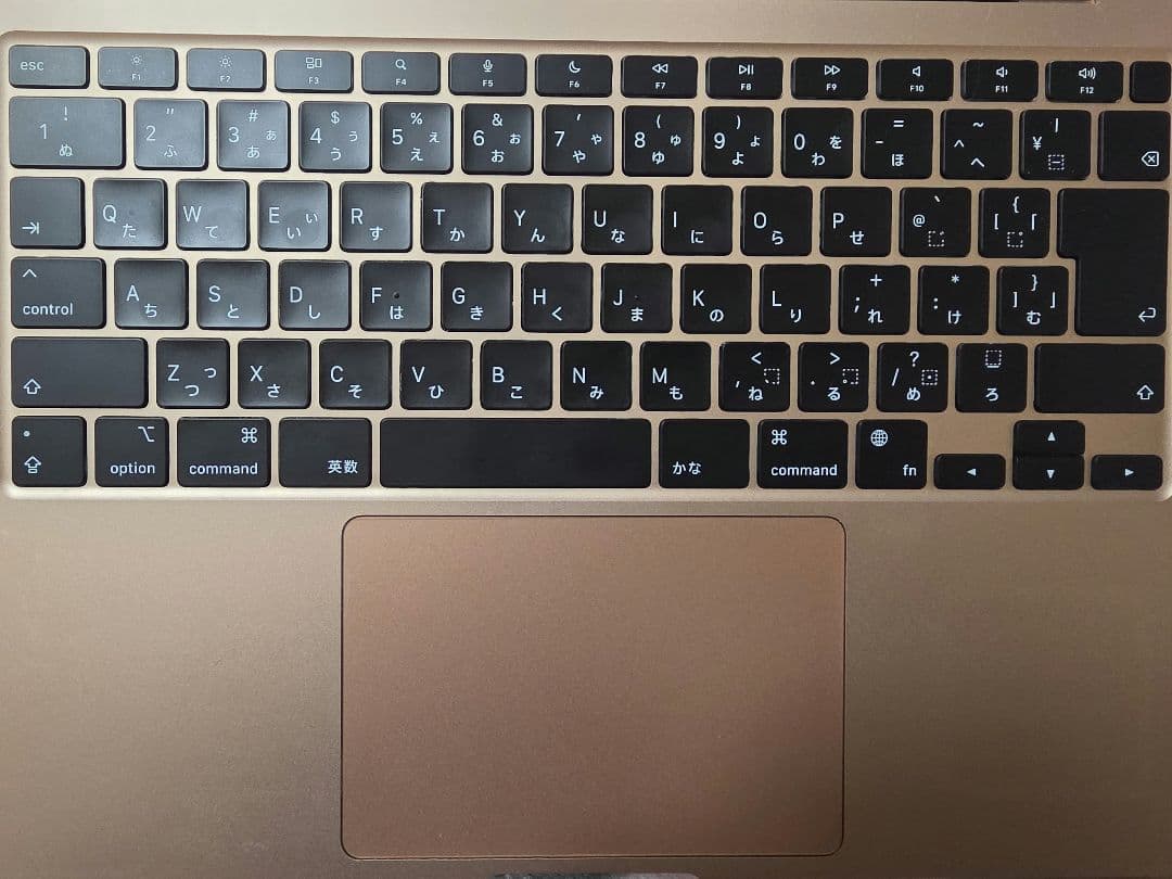 Apple MacBook Air (2020) ゴールド ハブ、ケース付
