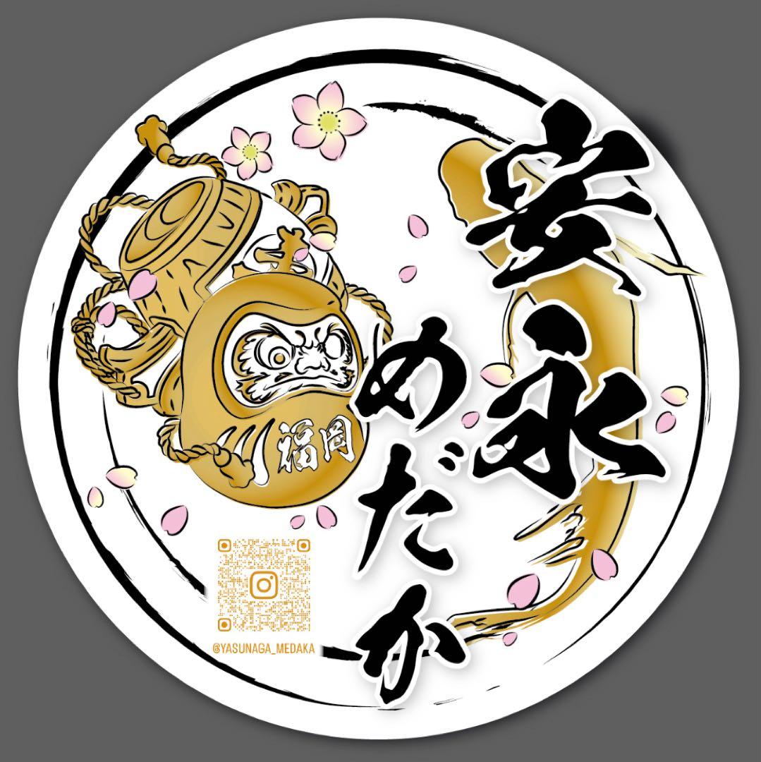 【安永めだか】国産メダカ横見ケース水槽《白＆黒2個》