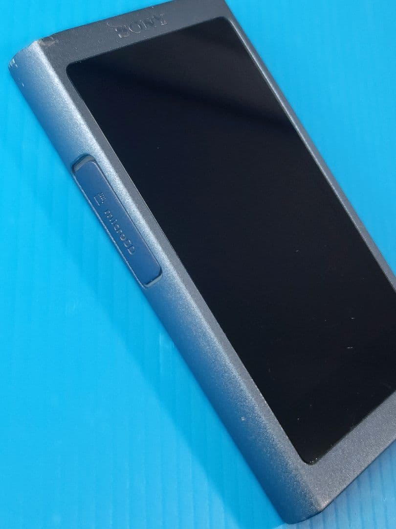 【動作確認済み】SONY WALKMAN NW-A45（L）