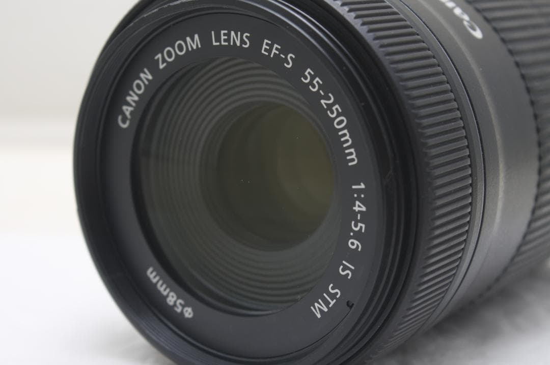 キヤノン EF-S 55-250mm F4-5.6 IS STM 0216