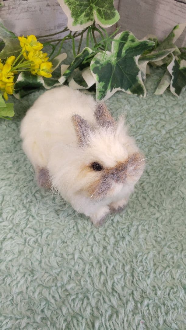 羊毛フェルト うさぎ ライオンヘッド ハンドメイド みんみん