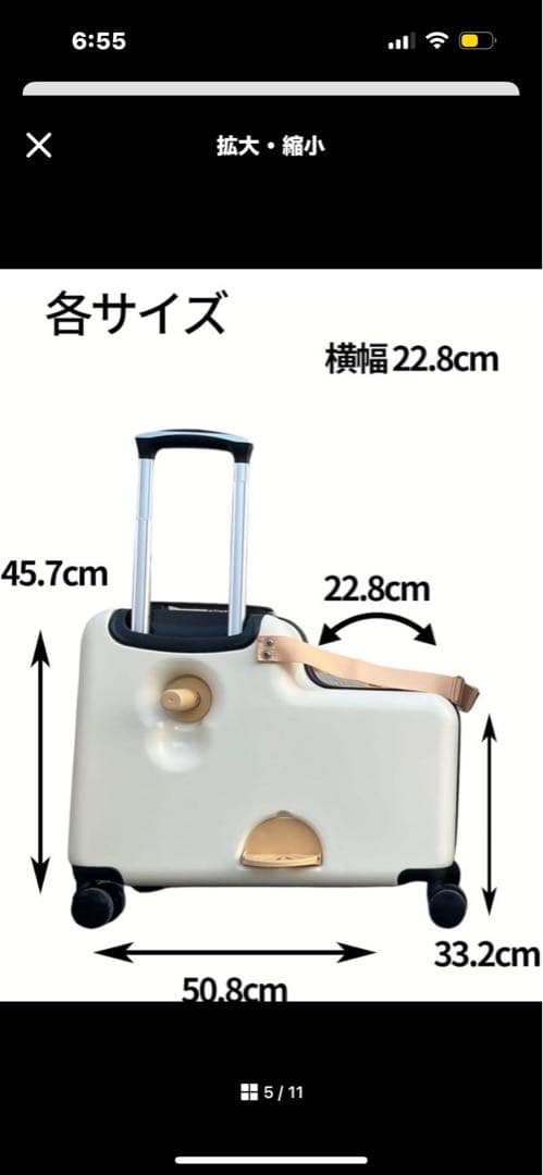 キッズトラベルmini 子供が乗れるキャリーケース