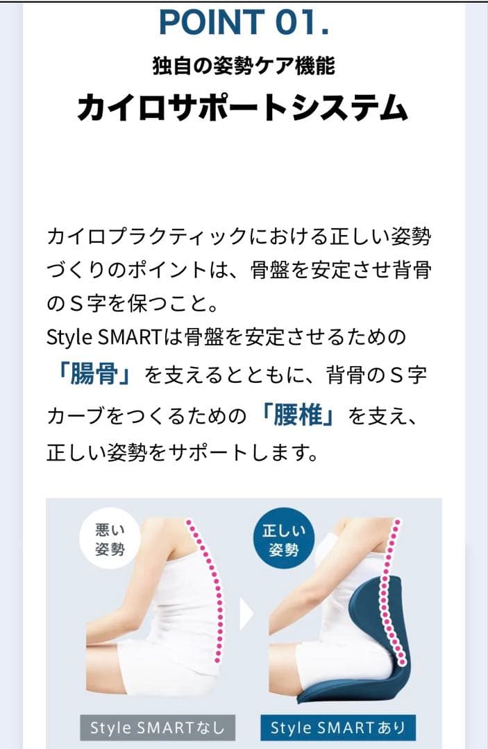 ☆美品☆MTG Style SMART スタイルスマート骨盤チェア 骨盤矯正BR