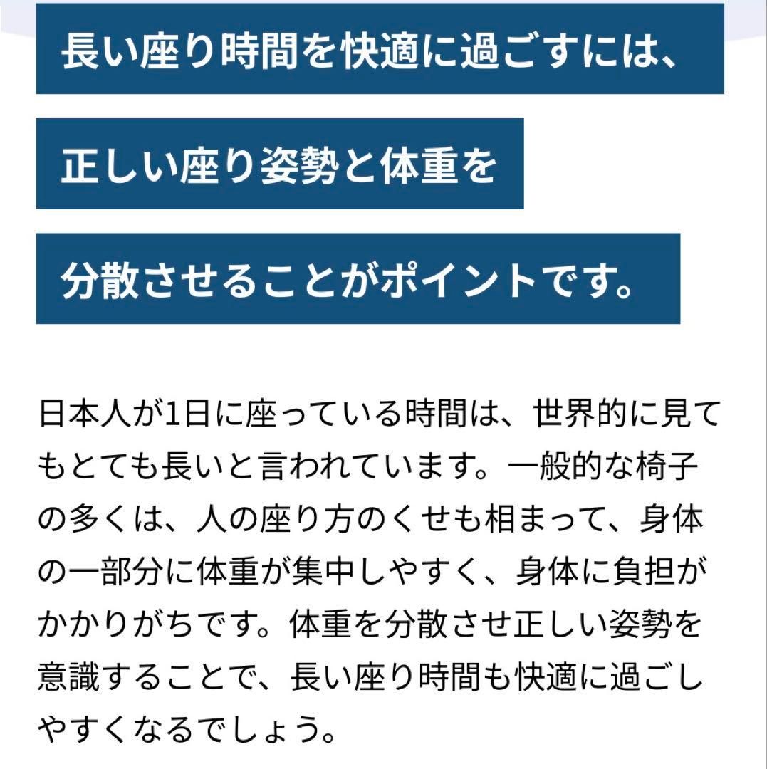 ☆美品☆MTG Style SMART スタイルスマート骨盤チェア 骨盤矯正BR