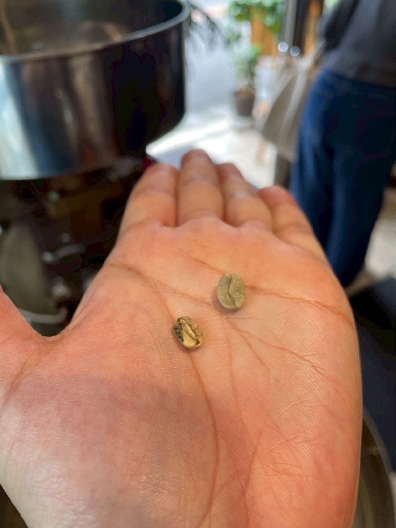 【DECAF blend／1kg】 miino COFFEE 直火焙煎