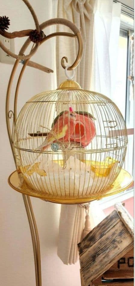 鳥かご スタンド ケージ インコ フラワースタンド ハンガースタンド