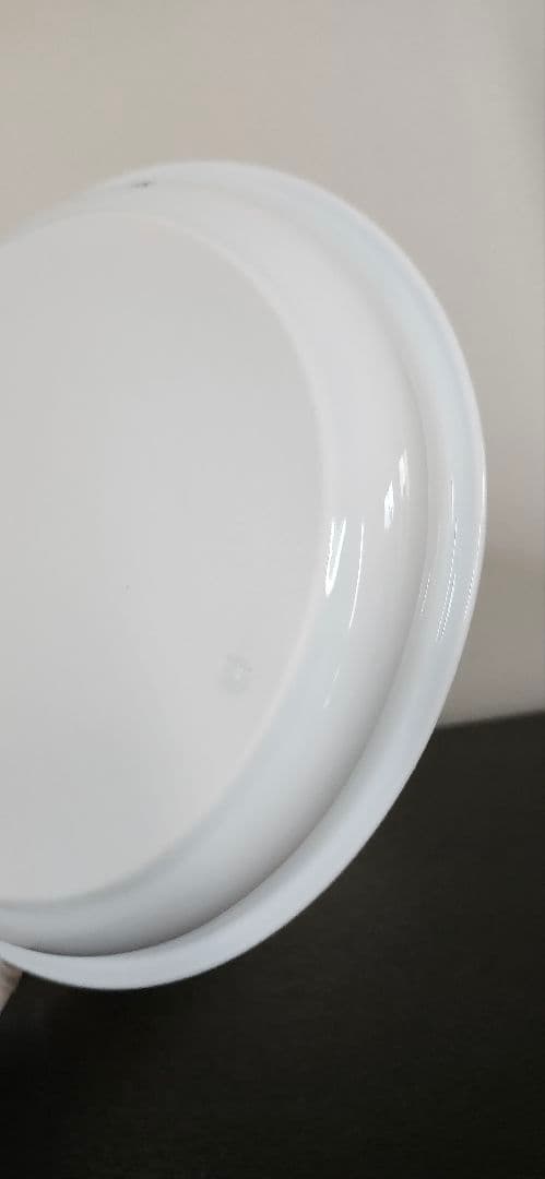 【新品　貴重】有田焼　深川製磁 薄墨白牡丹Uプレート