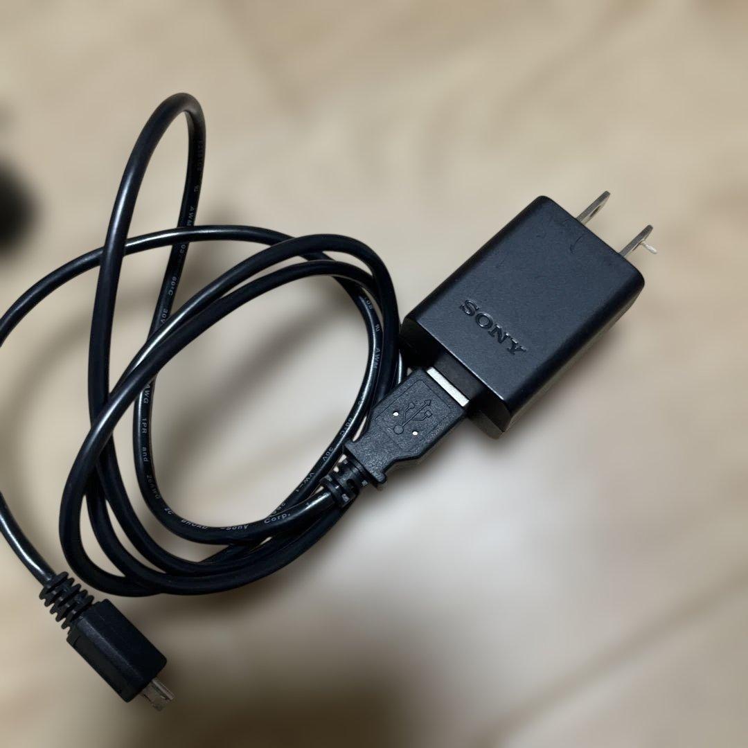 SONY Cyber-shot DSC-RX100 初代【動作確認済み・美品】