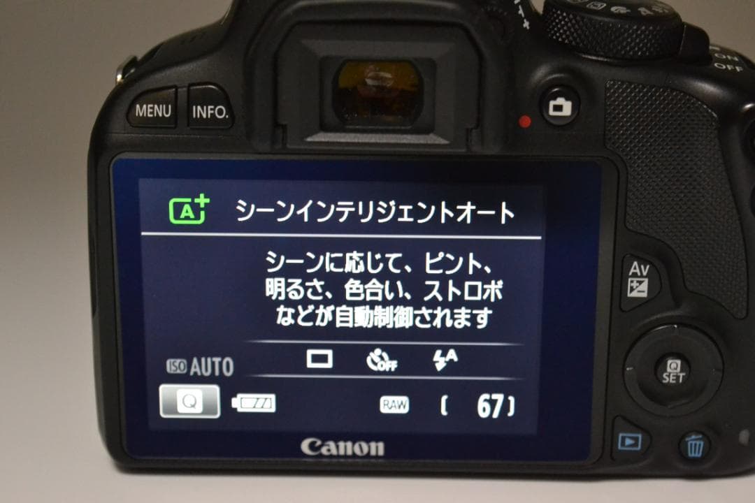 キャノン　Canon Kiss X7 55-200mm 望遠ズーム
