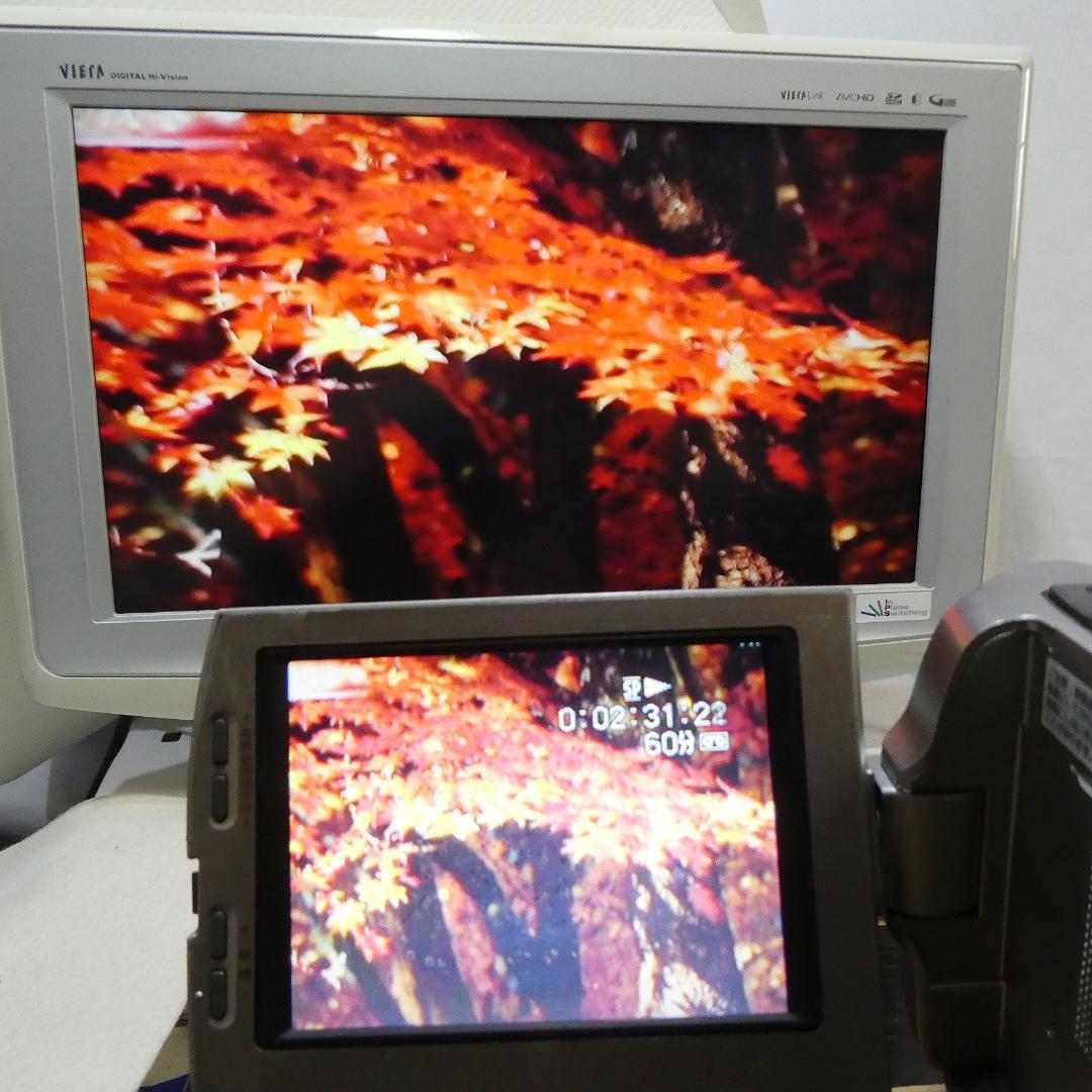 ソニー DCR-TRV7 【動作良好】MiniDV ビデオカメラ　ダビングに最適
