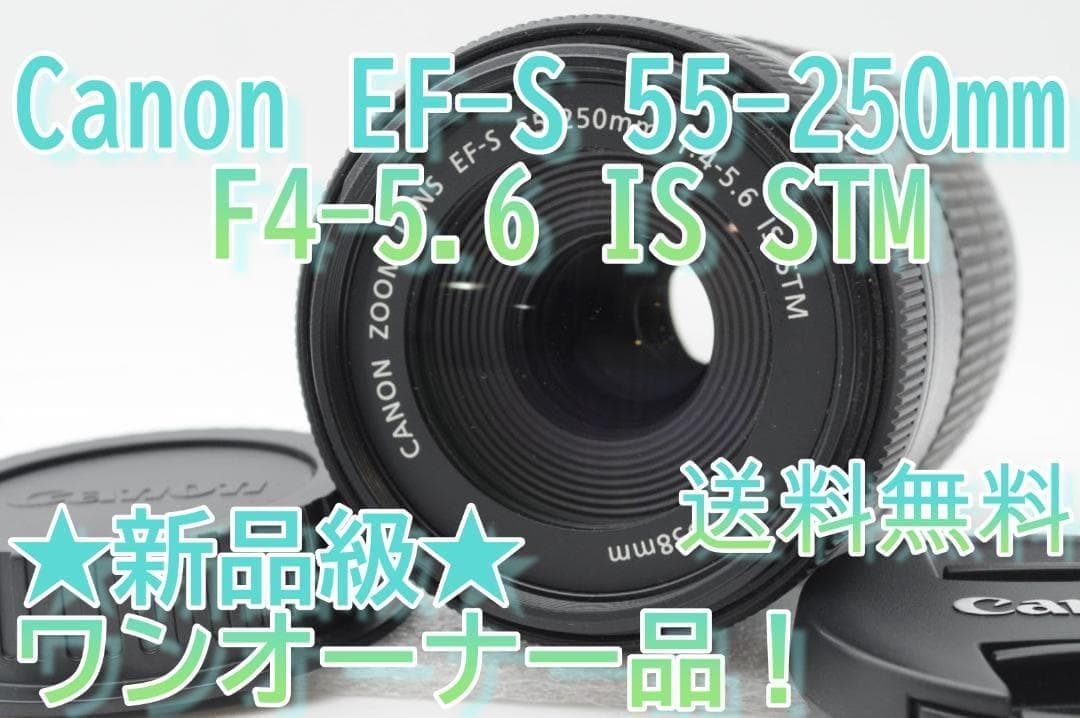 ◆新品級⑨◆ Canon EF-S 55-250mm f4-5.6 IS STM