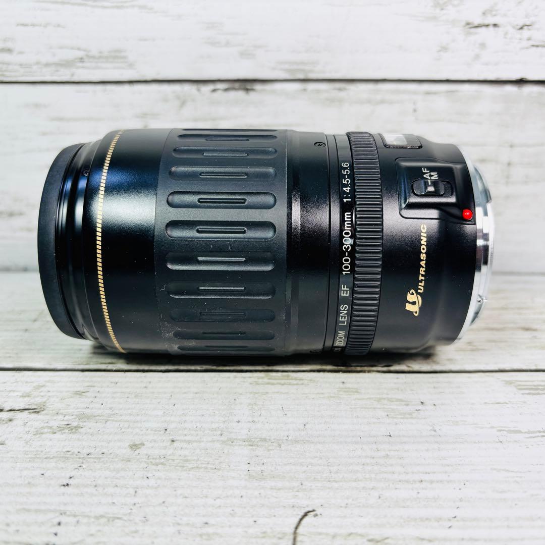 【動作良好】Canon EF 100-300mm F4.5-5.6 USM