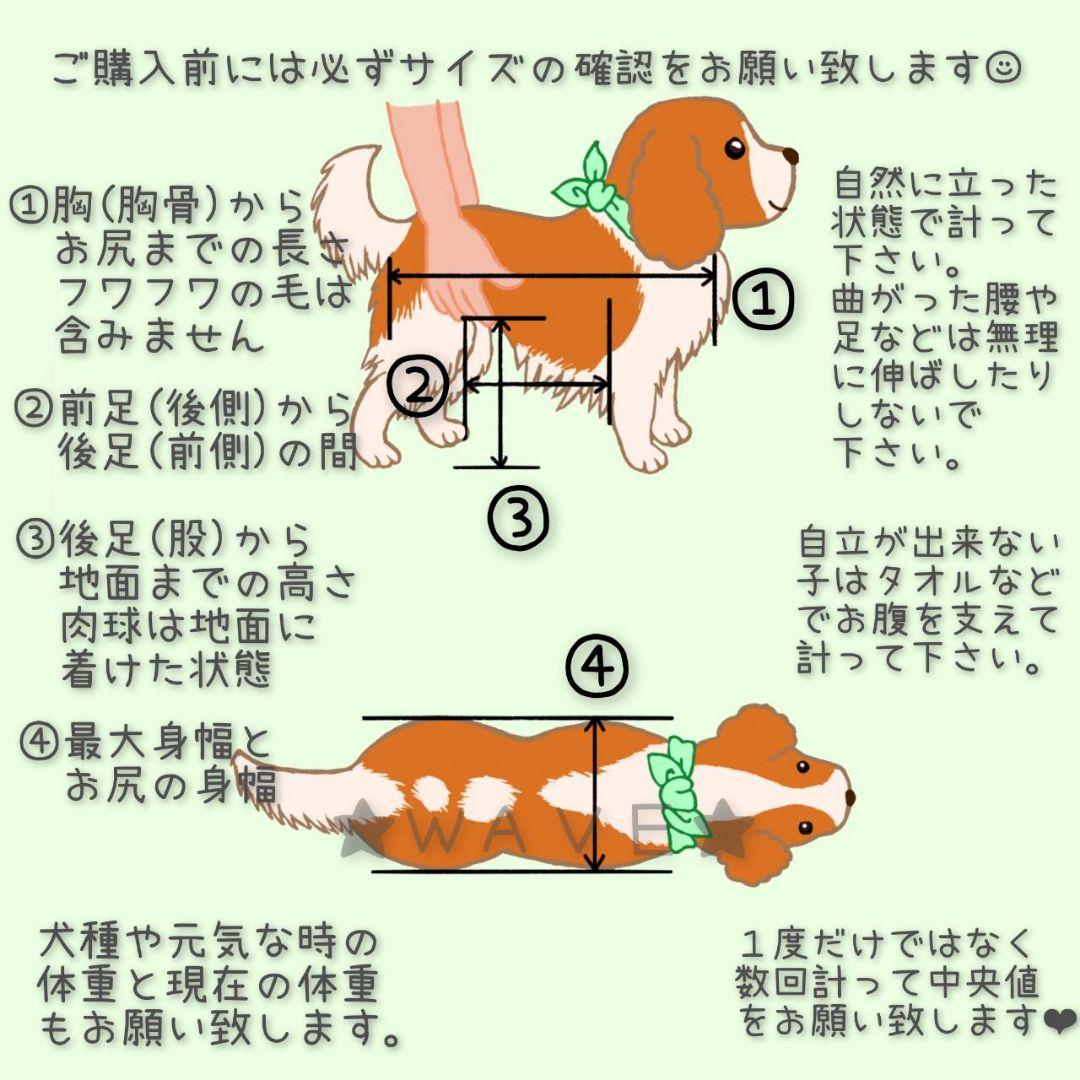 なおりん　犬用車椅子　犬の歩行器　シニア犬　犬の車いす　歩行補助サポート