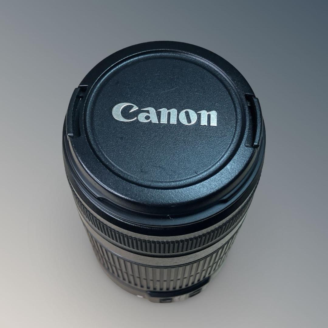【美品】Canon EF-S 55-250mm F4-5.6 IS Ⅱ キヤノン