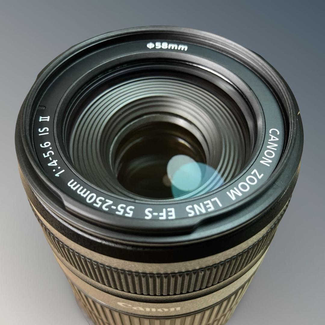 【美品】Canon EF-S 55-250mm F4-5.6 IS Ⅱ キヤノン