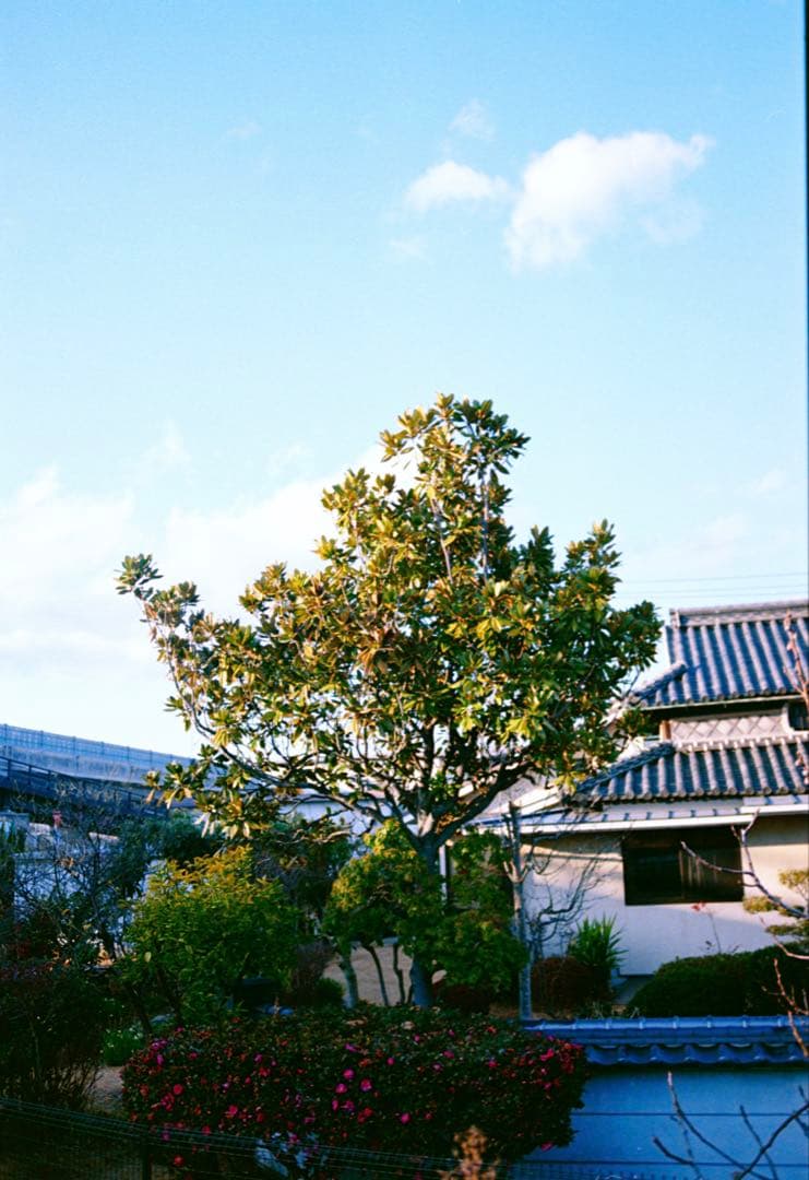 レンズ(ズーム) MINOLTA AF 28-70mm F2.8 G