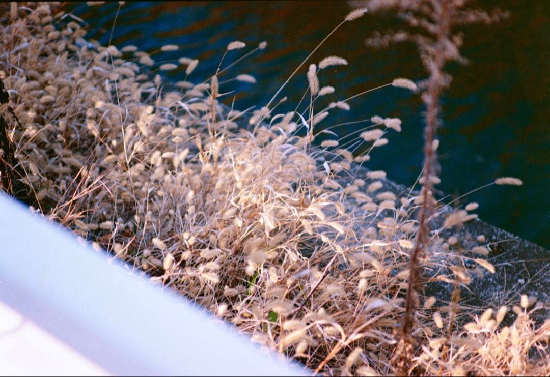 レンズ(ズーム) MINOLTA AF 28-70mm F2.8 G