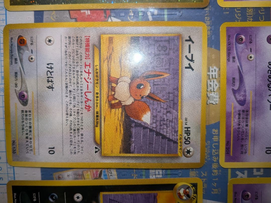 ポケモンカード　ネオ　プレミアムファイル2　カード有　neo