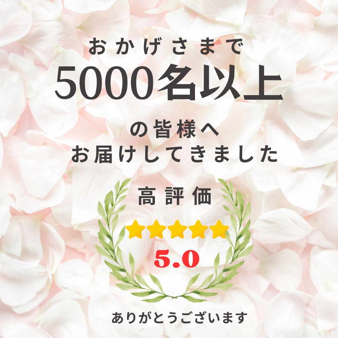扇の華 しめ縄 アレンジメント〈タッセル付き〉　しめ縄リース しめ飾り 正月飾り
