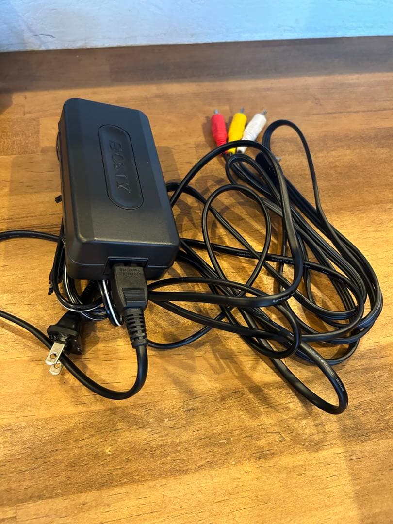SONY ビデオカメラ DCR-PC101