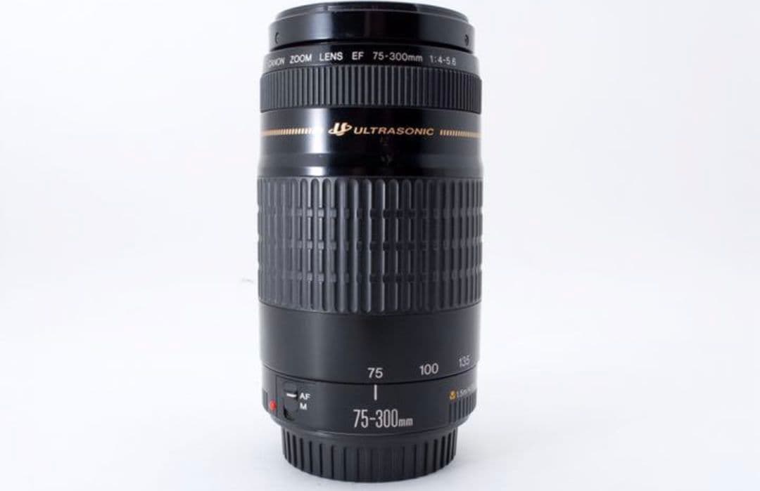 3月21日限定②OP付【超望遠レンズ】Canon EF 75-300mm USM