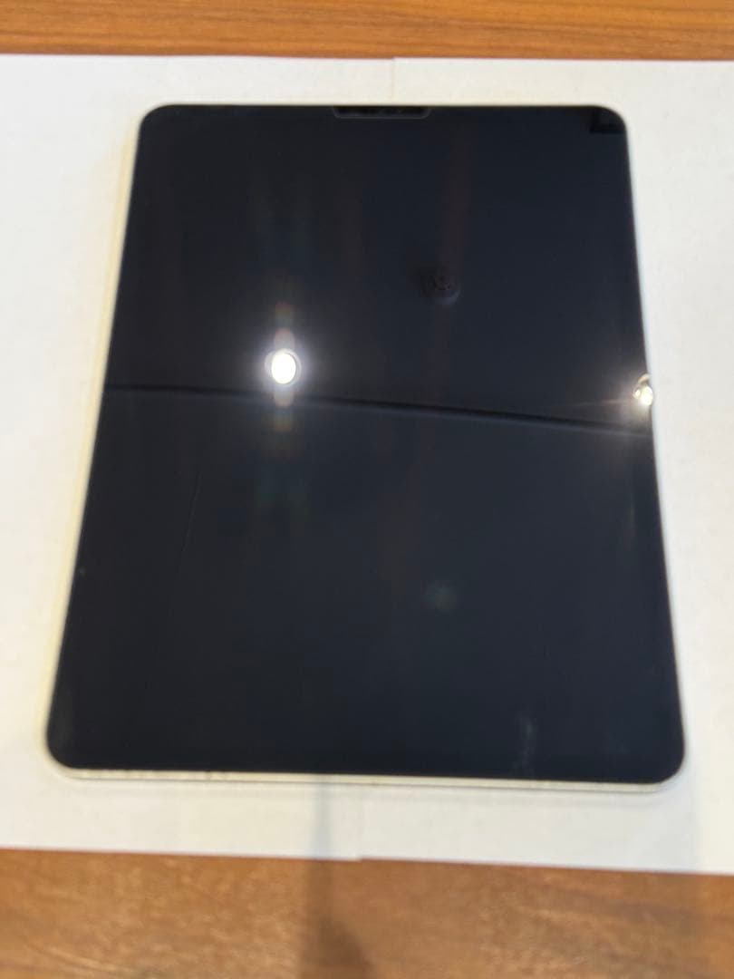 Apple iPad Pro 11インチ 3世代 256GB シルバー 95%