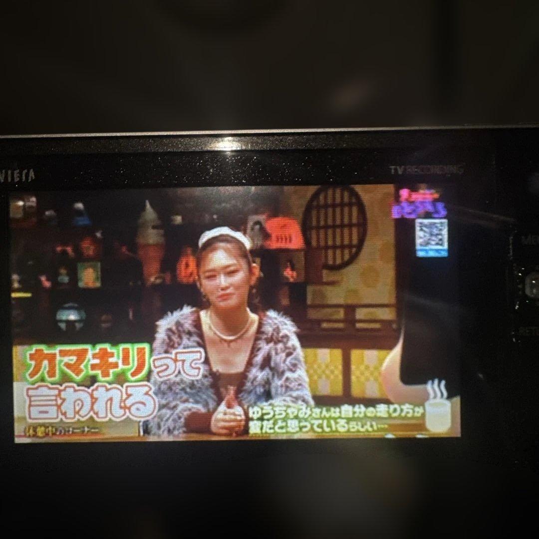 Panasonic VIERA ポータブルテレビ TV RECORDING