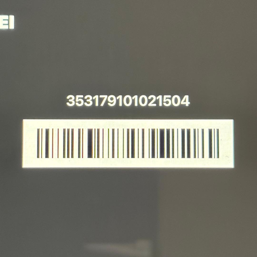iPad本体 iPad mini5 WiFi+Cellular 256GB