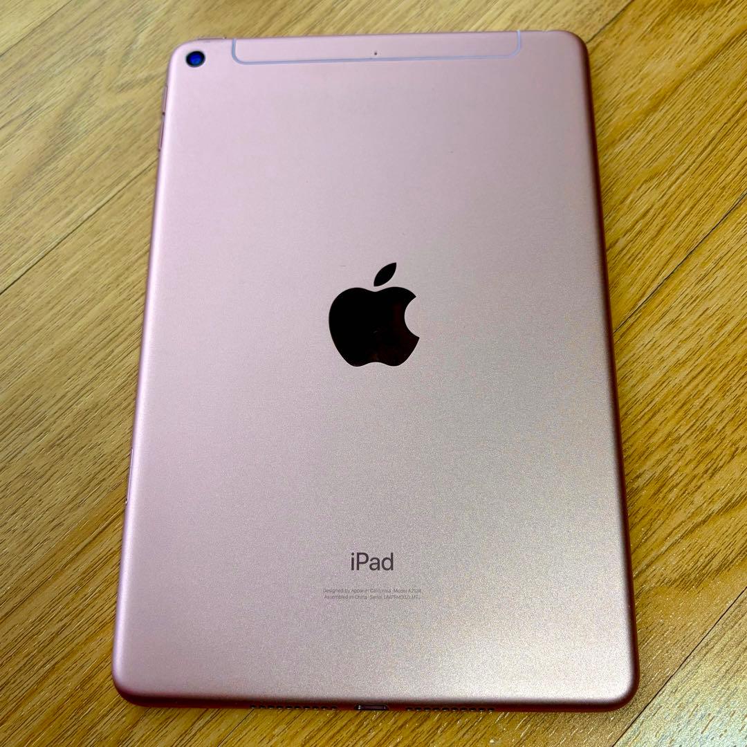 iPad本体 iPad mini5 WiFi+Cellular 256GB