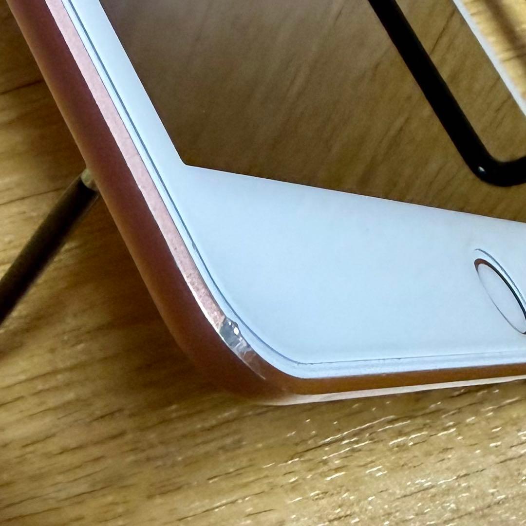 iPad本体 iPad mini5 WiFi+Cellular 256GB