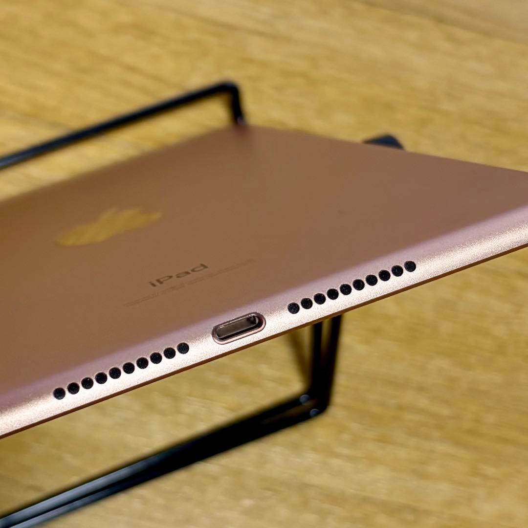 iPad本体 iPad mini5 WiFi+Cellular 256GB