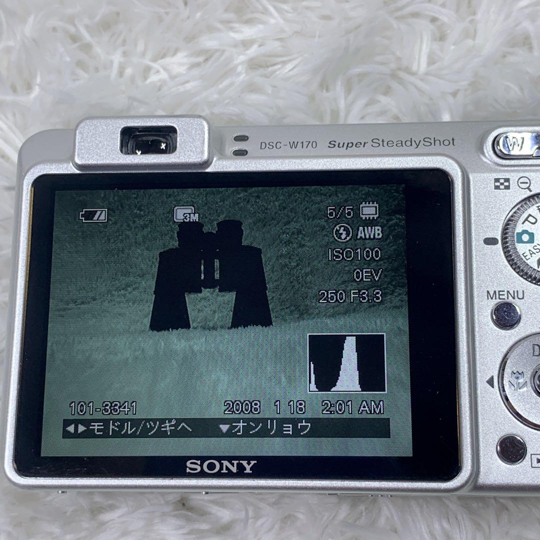 Panasonic DSC-W170 コンパクトデジタルカメラ