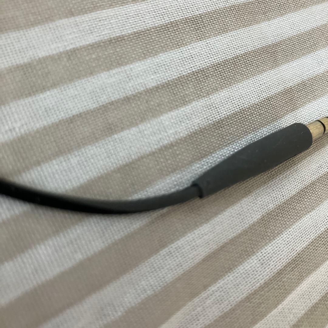 Bose IE2 audio headphones イヤホン　ケース付き