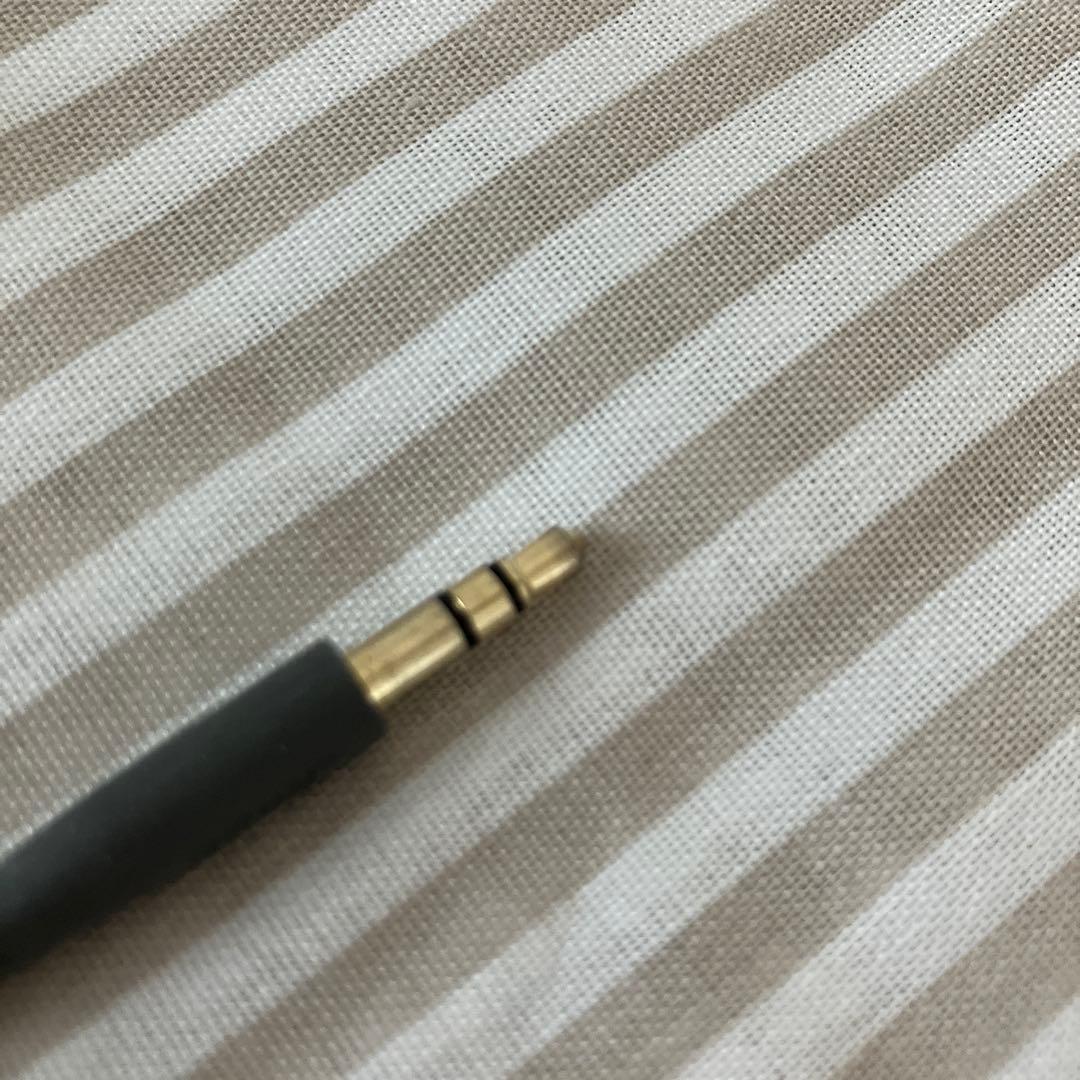 Bose IE2 audio headphones イヤホン　ケース付き