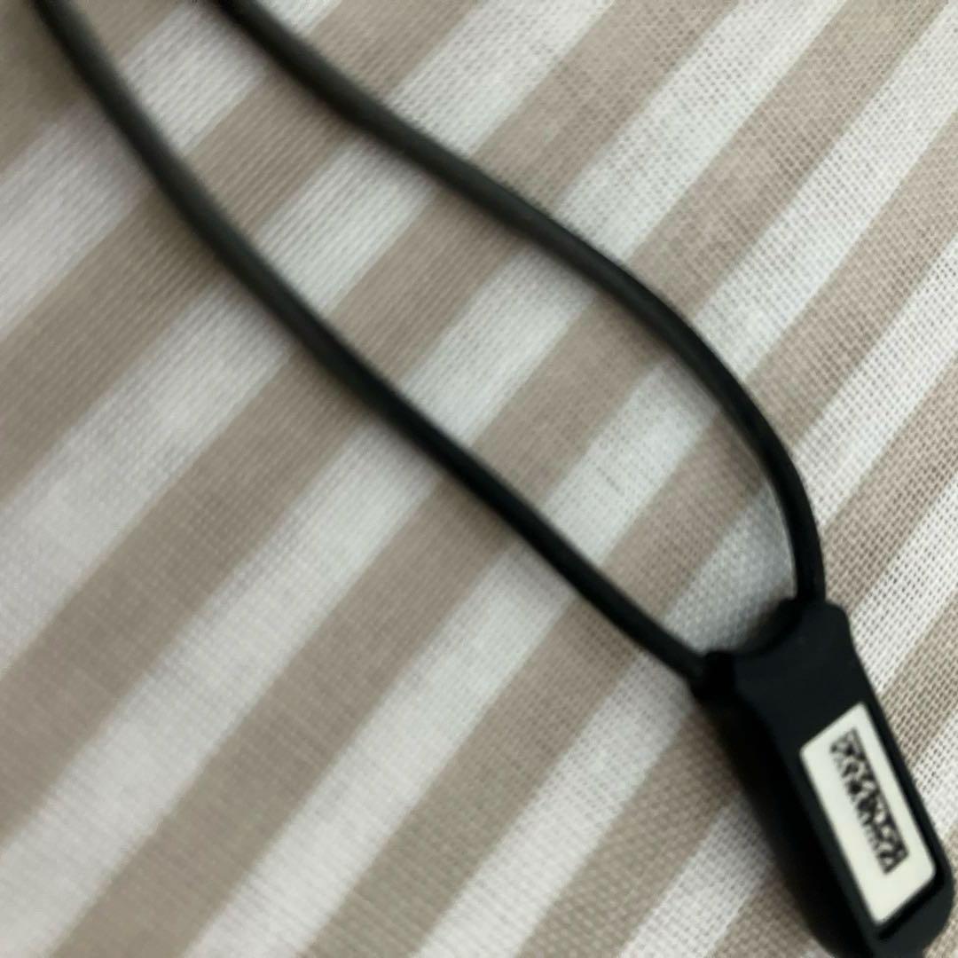 Bose IE2 audio headphones イヤホン　ケース付き