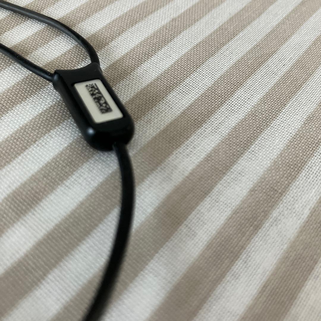 Bose IE2 audio headphones イヤホン　ケース付き