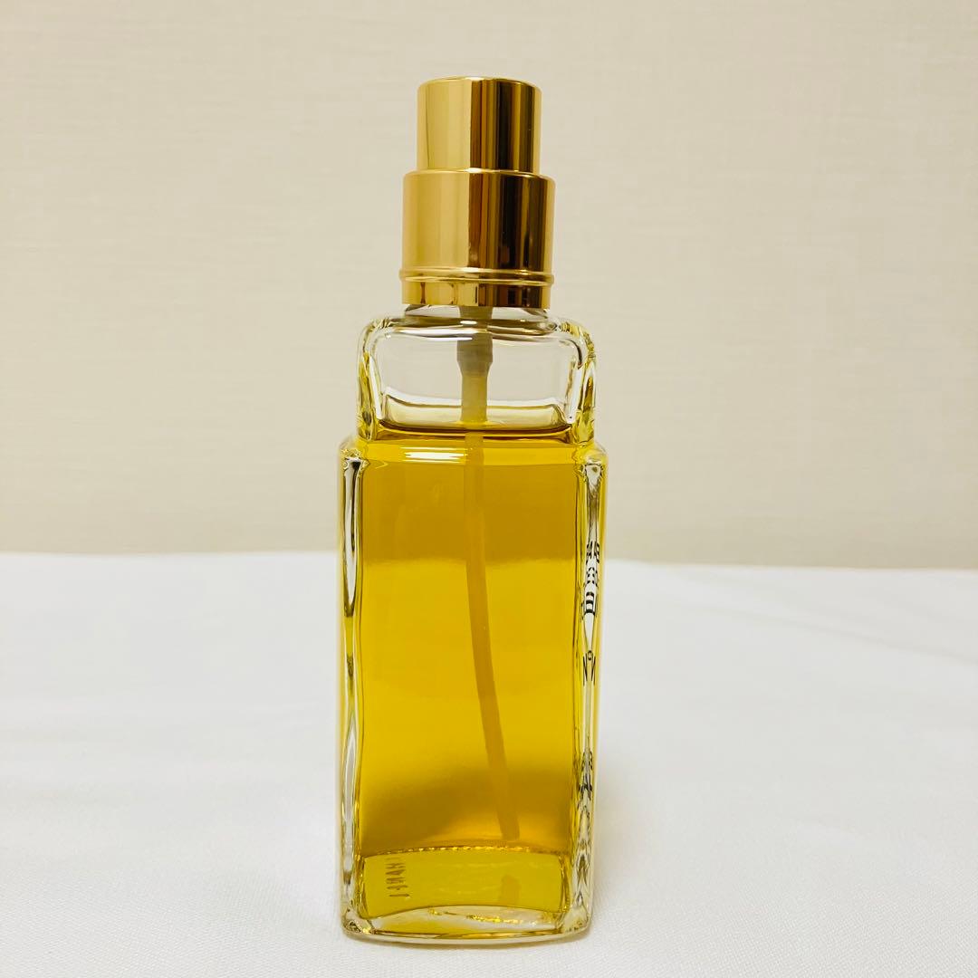 新品　シャネル　オードトワレ　 N°19 ヴァポリザター　香水　　100ml