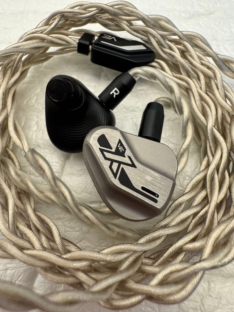 イヤホン vision ears ve10