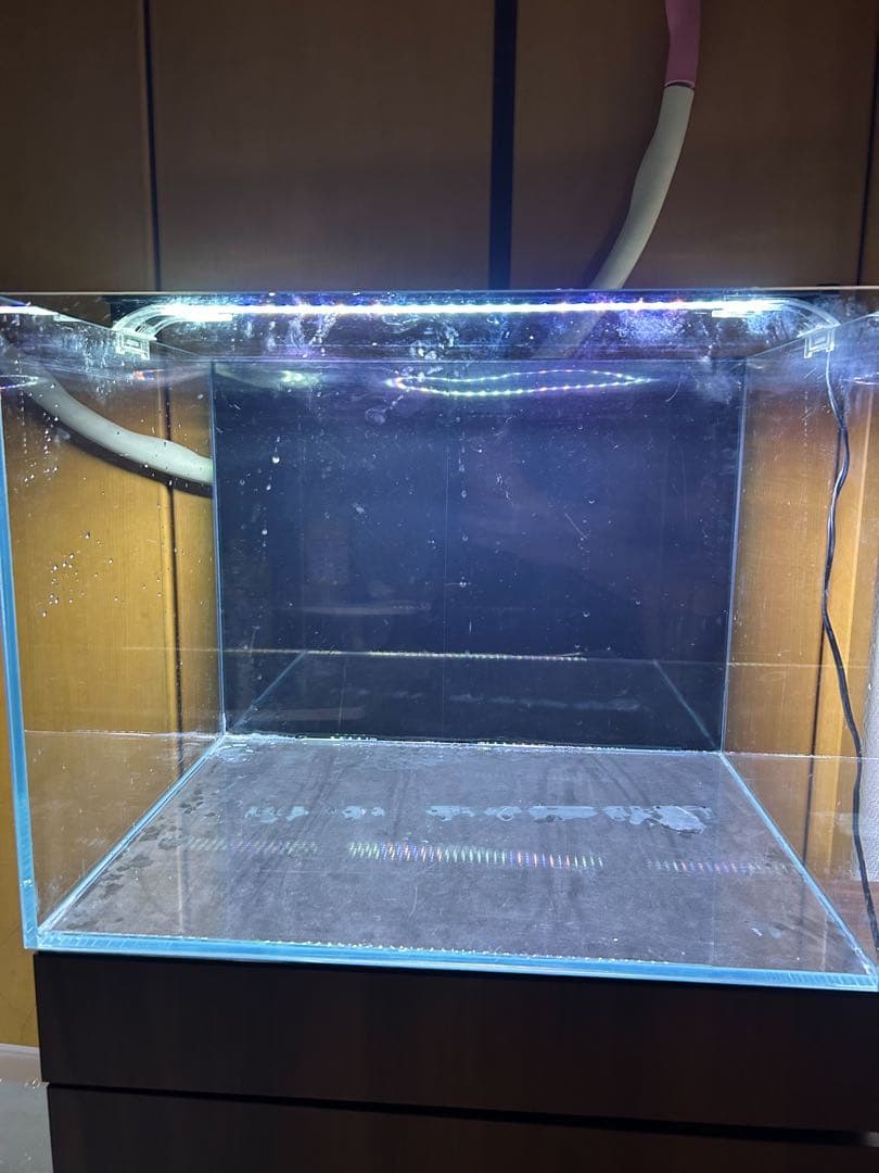 60ワイド水槽