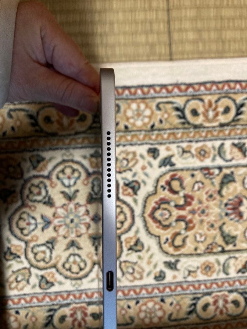 Apple iPad Pro (11インチ) 256GBジャンク稼動品カバー付き