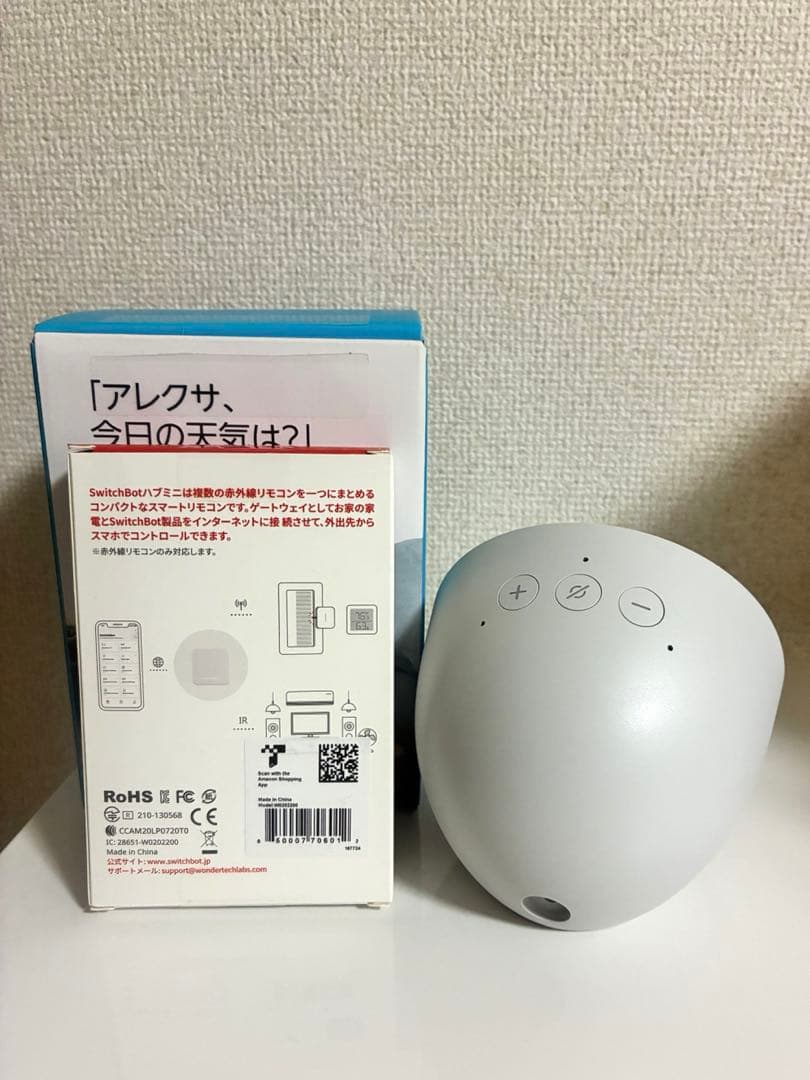 Echo Spotとハブミニのセット