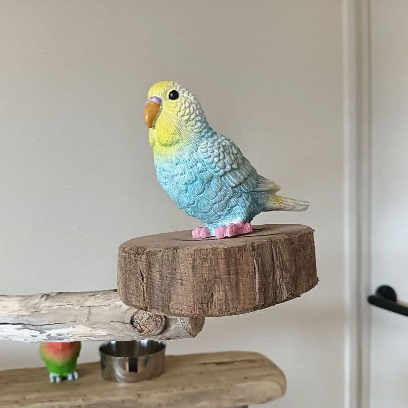 ナナ バードアスレチックジム大型 天然木 自然木 流木 インコ おもちゃ