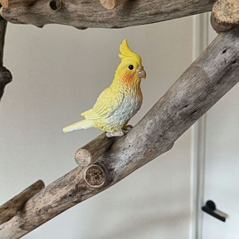 ナナ バードアスレチックジム大型 天然木 自然木 流木 インコ おもちゃ