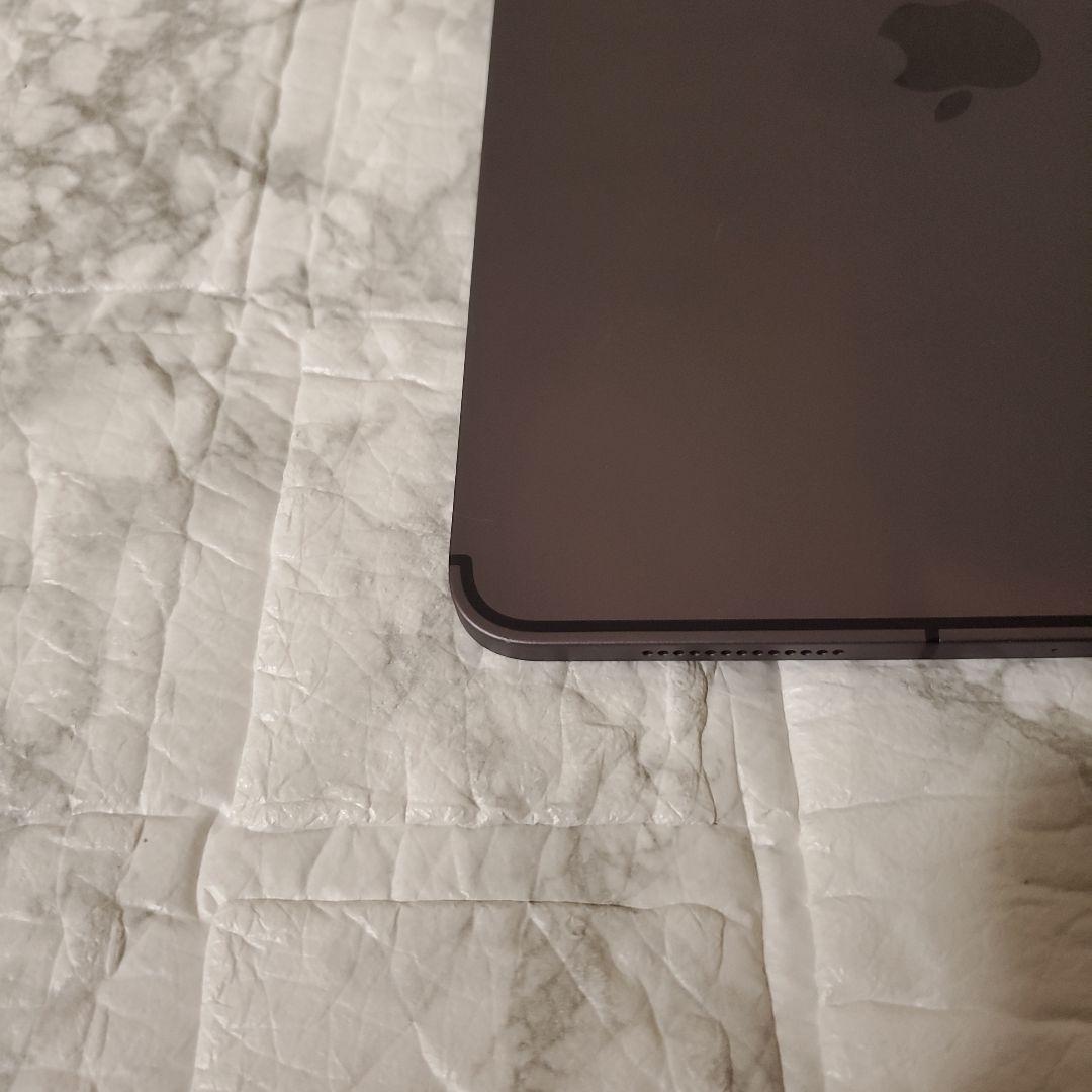 112 iPad Pro 11インチ 第1世代 256GB SIMフリー