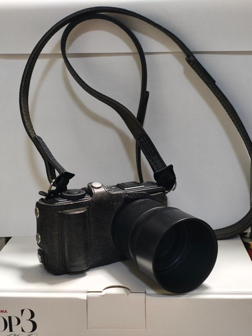SIGMA DP3 Merrill 、純正フード、ボディースーツ 、フィルター等